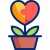 plant (1)